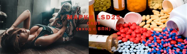 PSILOCYBIN Медвежьегорск