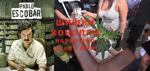 герыч Мегион